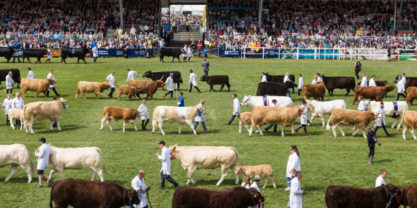 Royal Highland Show sells out for Friday & Saturday